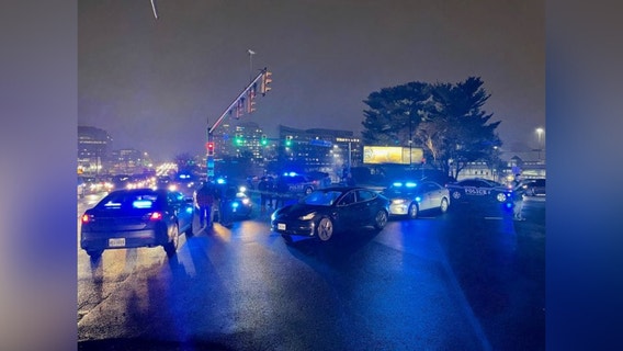 Drunk man mistakenly steals Tesla he confused for his own: police