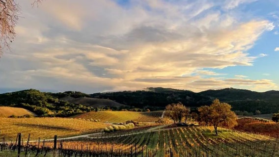 New Virginia law could threaten small wineries in the state