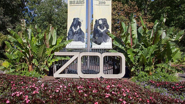 DC representative urges National Zoo to rethink policy requiring reserved visitor passes