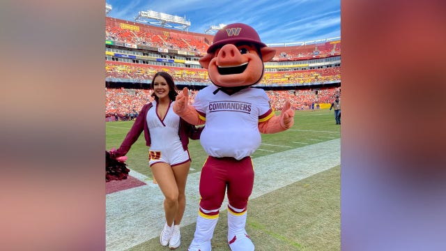 Washington Commanders announce new hog mascot, Major Tuddy