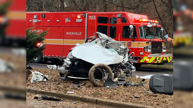 Driver killed after crashing into tree in Rockville
