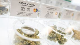 Maryland marijuana measure prioritizes social equity