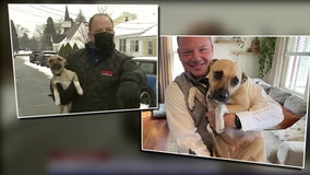 FOX 5's Bob Barnard reunites with puppy who crashed live shot 2 years ago