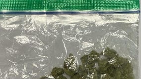 Marijuana recovered from 13-year-old at Piccowaxen Middle School