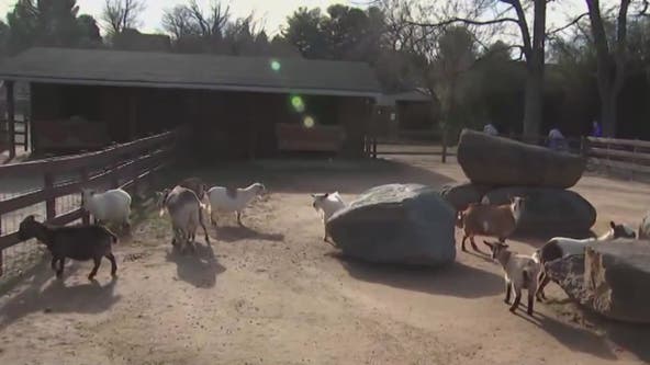 First look at NOVA Wild after reopening in Reston under local leadership