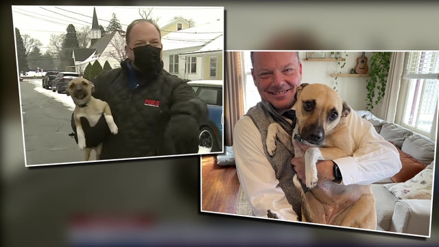 FOX 5's Bob Barnard reunites with puppy who crashed live shot 2 years ago