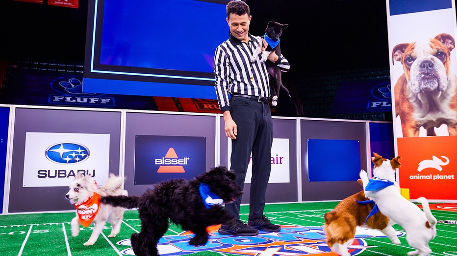 dan2-ref-puppybowl.jpg