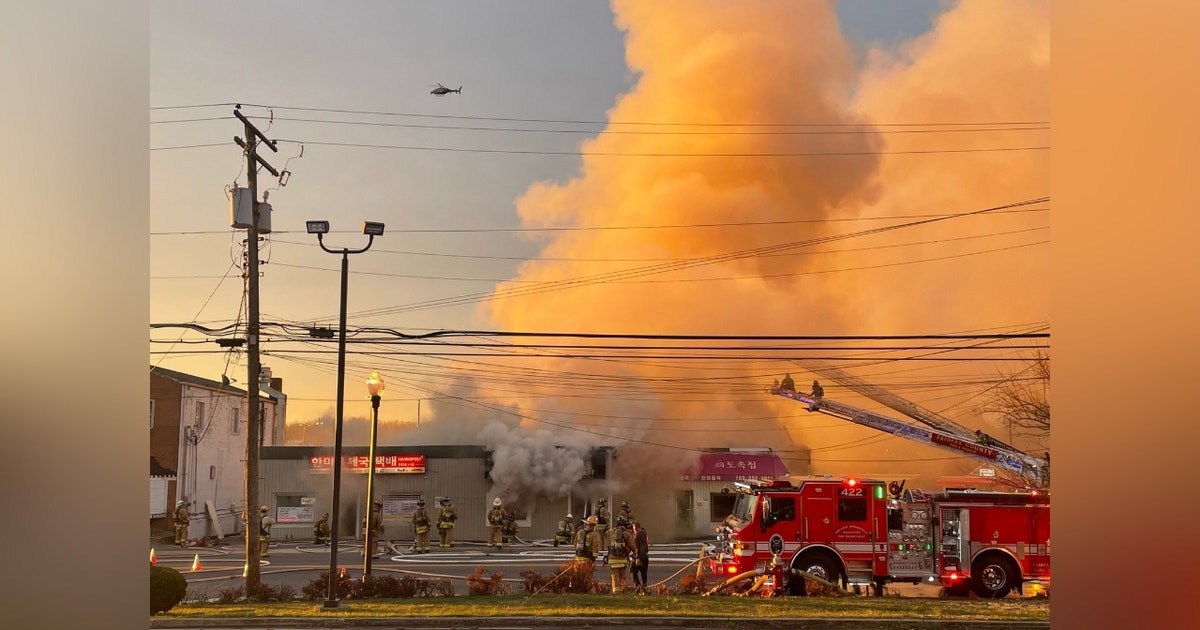 Multiple Fairfax County businesses damaged after building fire | FOX 5 DC
