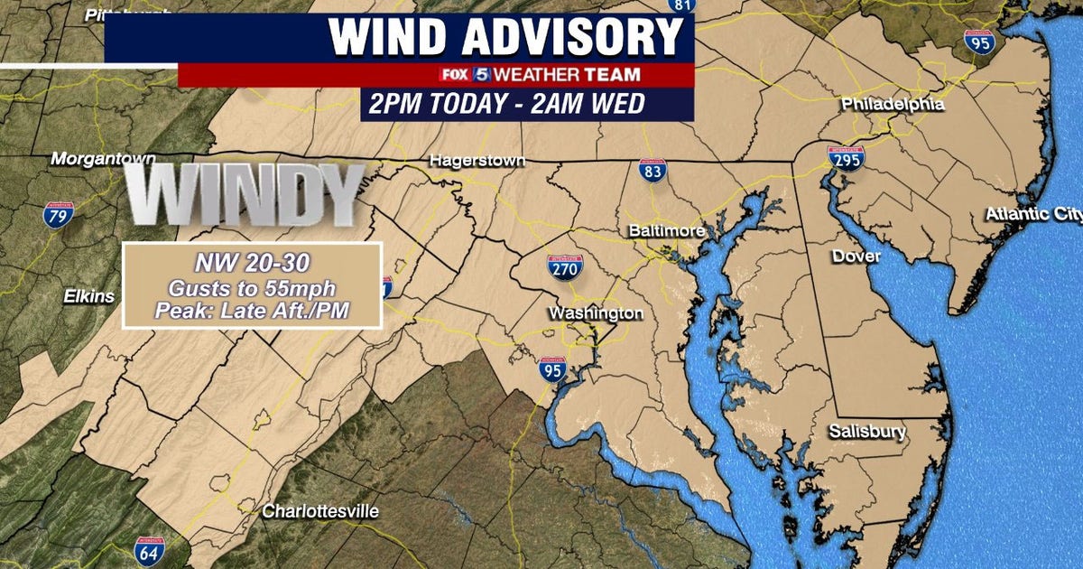 DC weather: Wind Advisory in place across region; gusts could reach 55 ...