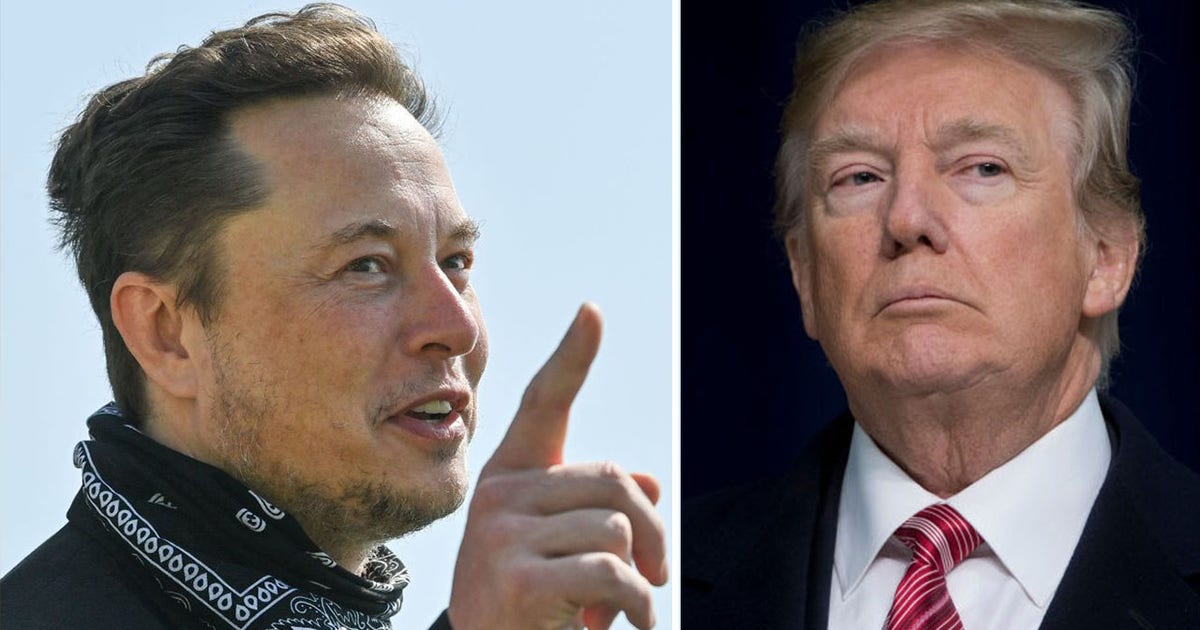 Twitter's Elon Musk predicts Trump will win re-election in 'landslide ...