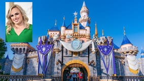 Disneyland banned Rebel Wilson over 'secret bathroom' selfie