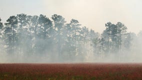 Burning smell in DC area may be due to smoke from NC wildfires, officials say