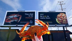 Maryland seafood restaurant claps back at PETA in billboard feud before crab season