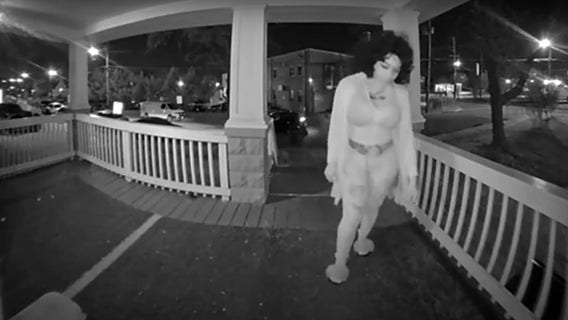 District Heights dognapper caught on camera