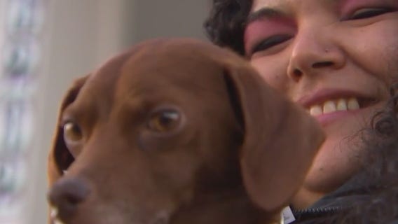 District Heights family reunited with stolen dog Canela