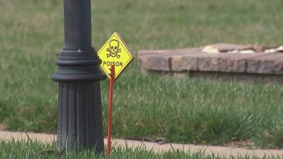 Lawn signs causing neighborhood controversy in Woodbridge