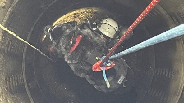 First responders rescue dog that fell 23 feet down storm drain