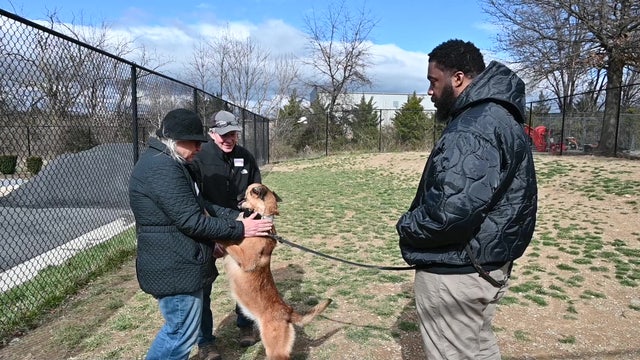 US government bomb detecting canines find forever homes during Virginia adoption event
