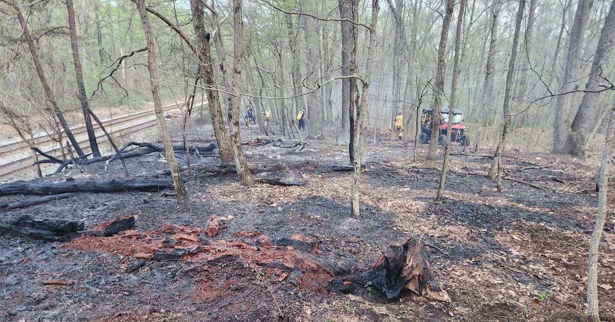 Brush fire disrupts some CSX, MARC traffic in Montgomery County | FOX 5 DC