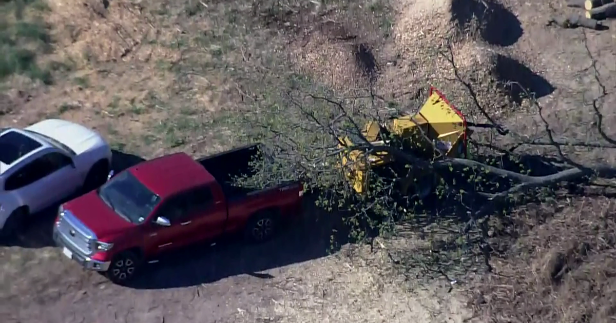 Tree falls, kills man in Chantilly | FOX 5 DC
