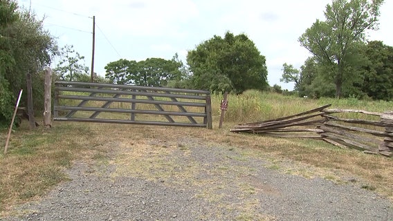 Demonstration planned to coincide with Prince William digital gateway open house