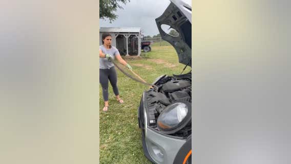 Texas mom fearlessly removes snake from daughter's car engine: video
