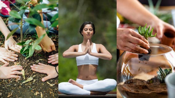 Earth Day 2023: How to celebrate and give back in the DC region