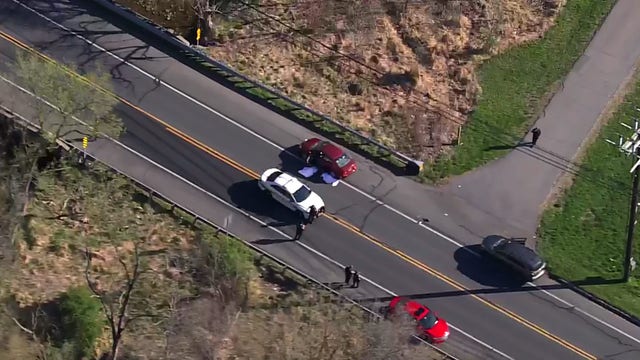 Driver seriously injures teenager, kills 2 dogs in Derwood crash