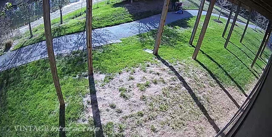 Video shows elderly couple being violently robbed in Montgomery County neighborhood