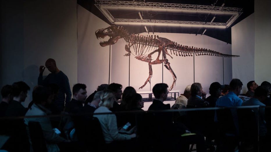 Frugtbar nå perspektiv Jurassic jackpot: Entire T. rex dinosaur skeleton found in US auctions for  $6.2 million