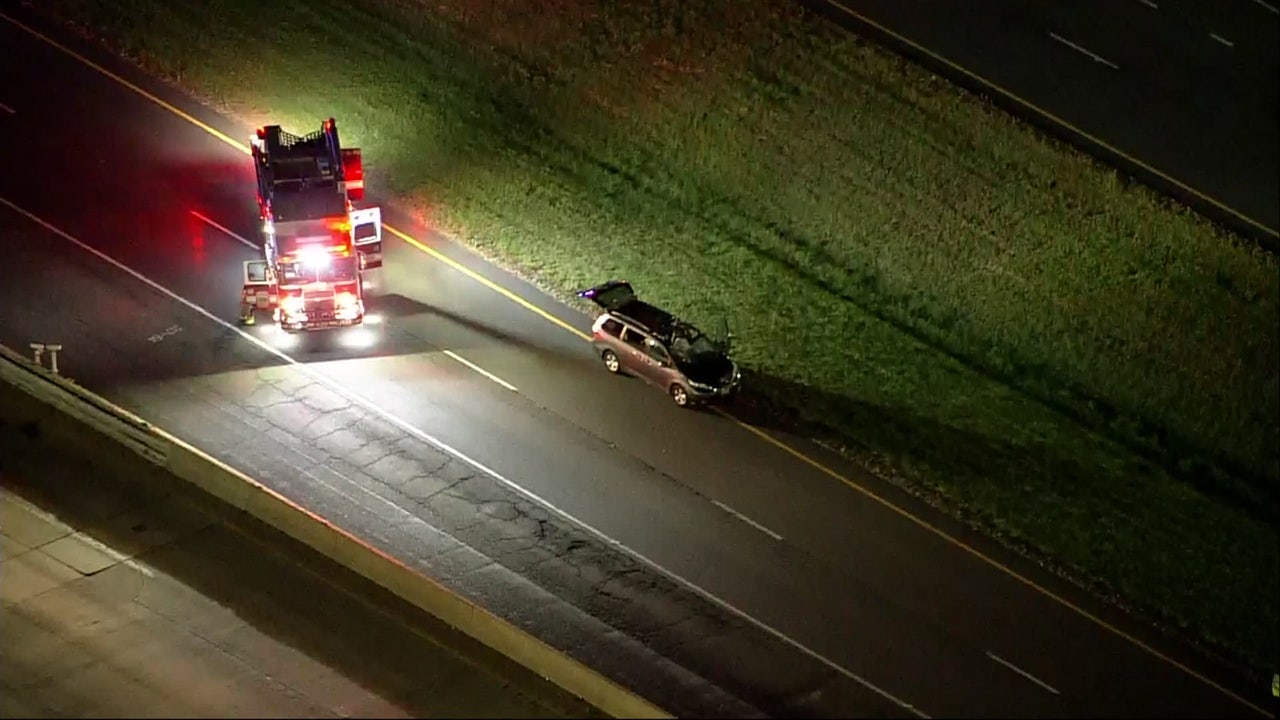 Ride-hail driver killed after striking deer on Virginia roadway