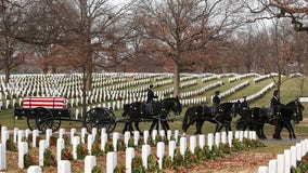 Army makes changes to improve care after Arlington National Cemetery horse deaths