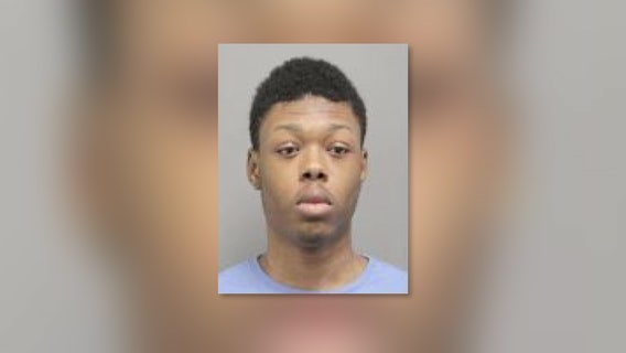 Woodbridge man charged with animal cruelty after police say he kicked kitten in head