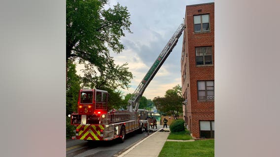 2 dogs dead in apartment fire in NW: DC Fire