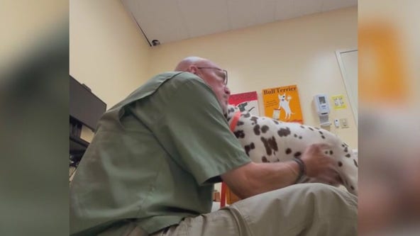 Former firefighter saves Dalmation in DC Apartment fire