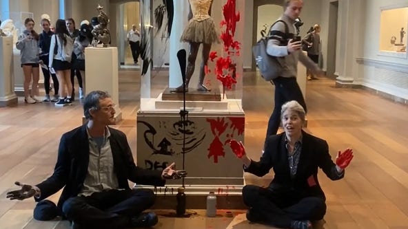 Climate protestors facing federal charges for defacing sculpture at National Gallery of Art