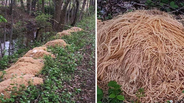 Oodles of noodles dumped in Old Bridge woods