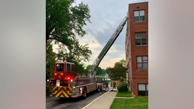 2 dogs dead in apartment fire in NW: DC Fire