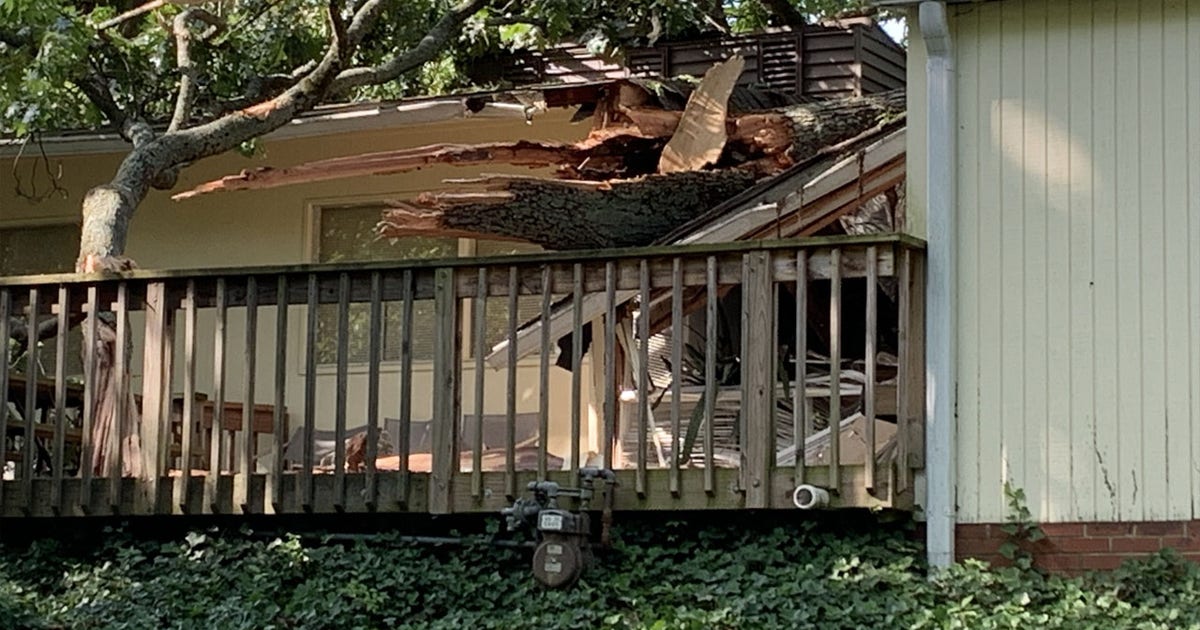 Tree crashes into Bethesda home | FOX 5 DC