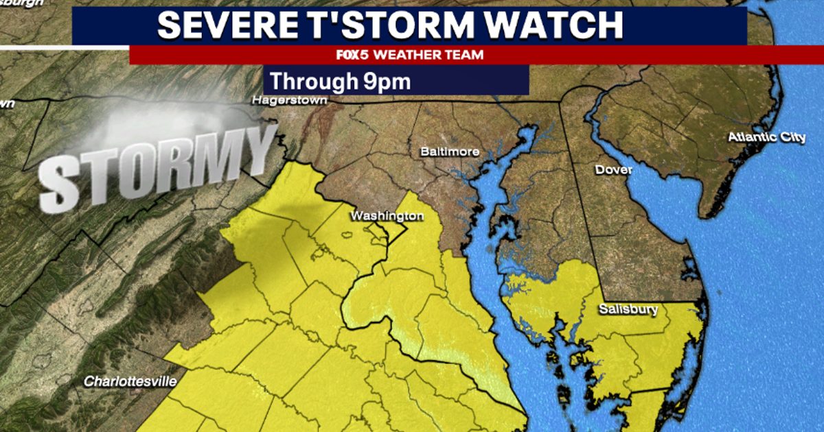Severe thunderstorm warning issued Friday across DC region | FOX 5 DC