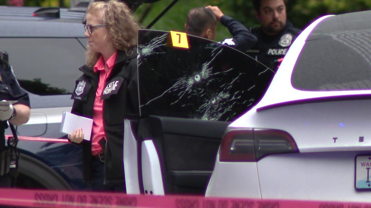 Docs: Suspect says 'I did it' to police after pregnant woman was shot and killed in Seattle - Vimarsana News