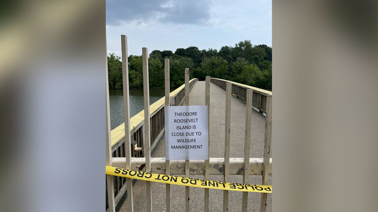 DC’s Theodore Roosevelt Island temporarily closed after bear sighting