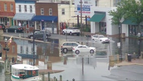 Coastal flooding brings water onto Annapolis streets