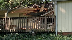 Tree crashes into Bethesda home