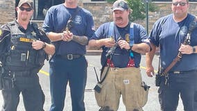 7 ducklings rescued from drain in Spotsylvania County