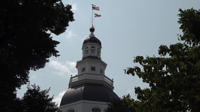 5 Things to Do In Annapolis