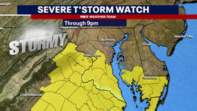 Severe thunderstorm warning issued Friday across DC region