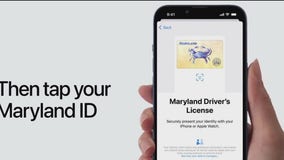 Maryland IDs can now be uploaded to Google Wallets