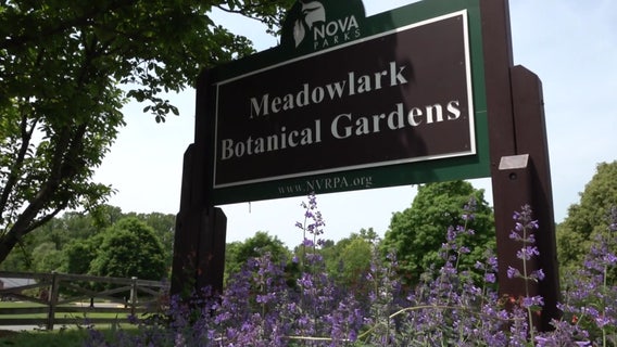 5 things to do in Vienna