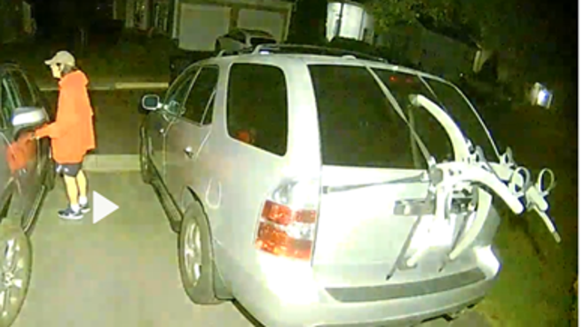 Car burglars caught on camera in Fairfax County